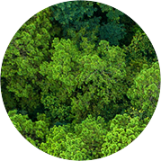 玫德集團 智造60?年 暢銷140?國